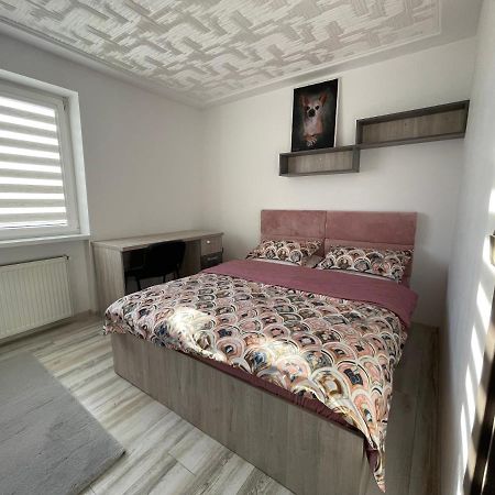 Tei Apartment - Lucian Blaga Satu Mare Luaran gambar