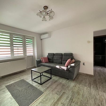 Tei Apartment - Lucian Blaga Satu Mare Luaran gambar