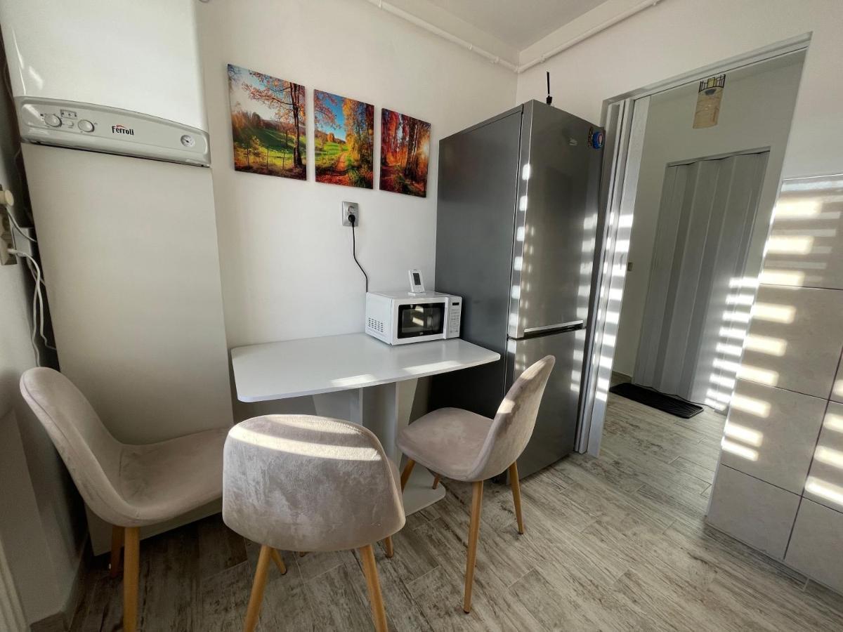 Tei Apartment - Lucian Blaga Satu Mare Luaran gambar