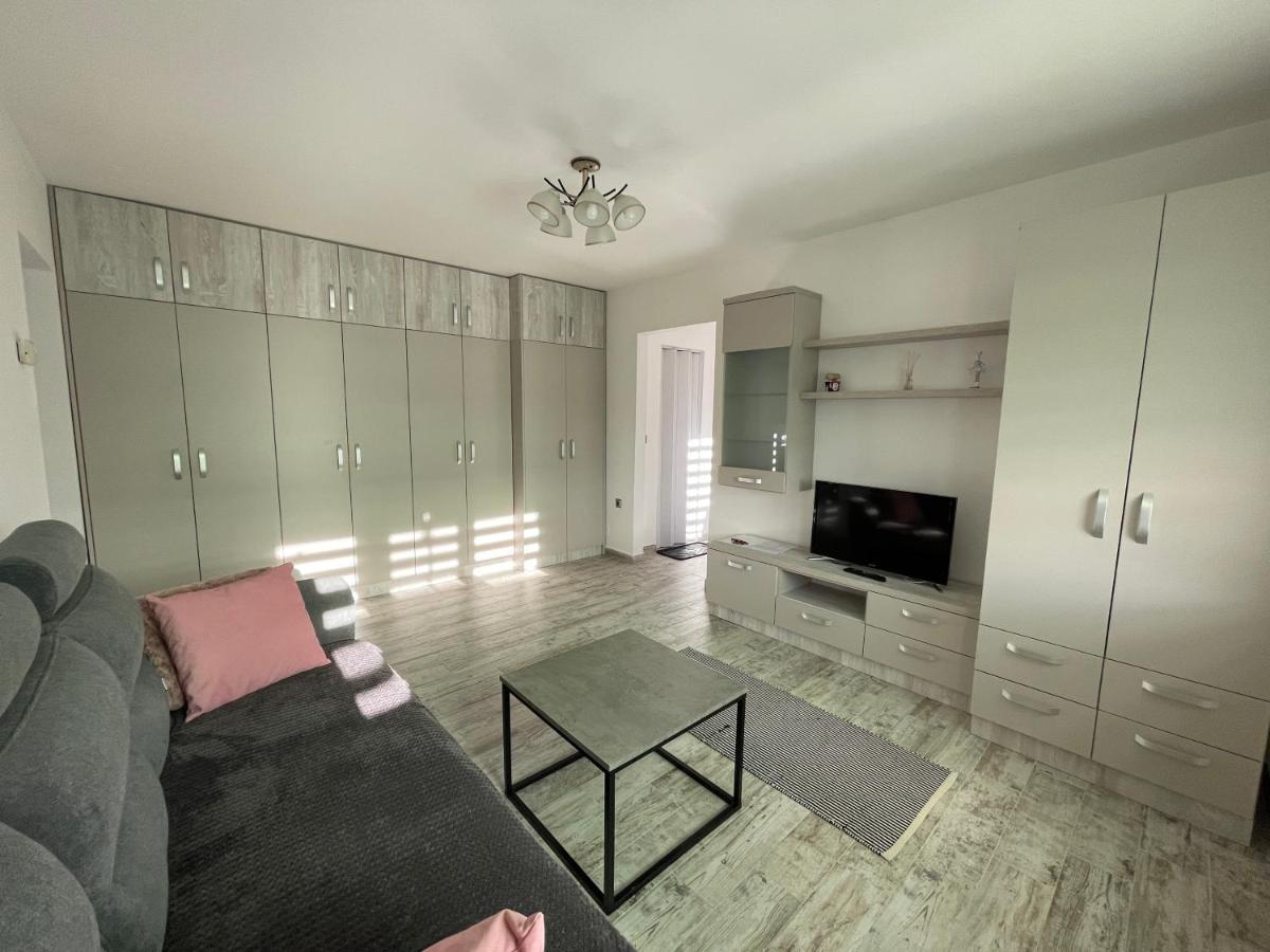 Tei Apartment - Lucian Blaga Satu Mare Luaran gambar