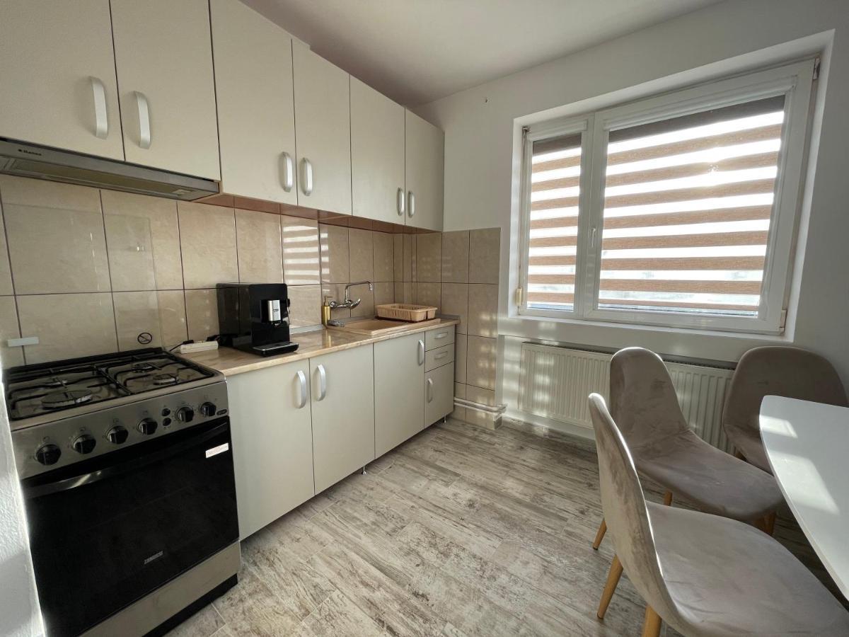 Tei Apartment - Lucian Blaga Satu Mare Luaran gambar